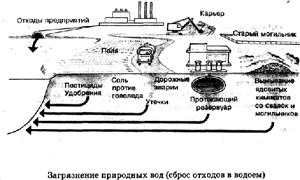 Протисты — Википедия